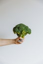 Woman Hand holding raw broccoli cabbage florets infront of white background. Heathy lifstyle concept