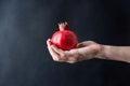 Woman Hand Holding Ripe Vibrant Red Pomegranate on Black Background Conceptual Fall Autumn Thanksgiving Harvest