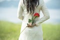 Woman hand holding rose flower hiding behind back side rear view to surprise couple on valentine`s day. Beauty woman giving