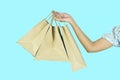 Woman hand holding shopping bags on white background Royalty Free Stock Photo