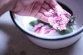 Woman hand holding a small bouquet of spring flower in blossom, Bouganivillea in a meditative space