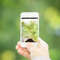 Woman hand holding smart phone