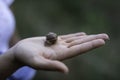 Woman hand holding a snail outdoors closeup shot