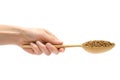 Woman hand holding spoon with organic buckwheat.