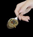 Woman hand holding spoon with paper house real estate business concept photo Royalty Free Stock Photo