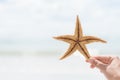 Woman hand holding starfish over sea and Sandy beach Royalty Free Stock Photo