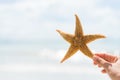 Woman hand holding starfish over sea and Sandy beach Royalty Free Stock Photo