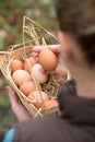 Woman hand holding wicker basket with fresh eggs on green grass Royalty Free Stock Photo