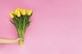 Woman hand holding yellow tulip flowers on pink background. Flat lay, top view. Tulip flower background. Add your text. Royalty Free Stock Photo