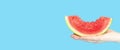 A woman hand holdong a slice of watermelon on a blue background Royalty Free Stock Photo