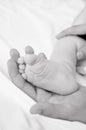 Woman hand holds baby leg Royalty Free Stock Photo