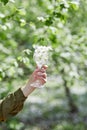 Woman hand holds a glass of wine full of blooming tree's flowers. Cottage core aesthetic, connecting with nature