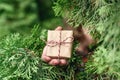 Woman hand holds out small gift through green juniper tree branches in the forest. Christmas coming concept. Royalty Free Stock Photo