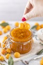 Woman hand holds yellow cherry plum over glass jar of homemade DIY natural canned yellow cherry plum sauce chutney with chilli or Royalty Free Stock Photo