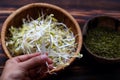 Woman hand with homemade bean sprouts, germinate of green beans