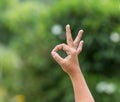 Woman hand with OK sign on green blur