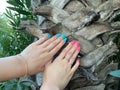 Woman hand on palm tree trunk. Concept of environment protection, nature care. Closeup image of girl palm touching tree bark. Royalty Free Stock Photo