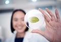 Woman, hand and petri dish with a plant for botany with a biologist studying climate change in the lab. Biology Royalty Free Stock Photo