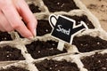 Woman hand planting seed in the ground or soil. spring sowing. Royalty Free Stock Photo