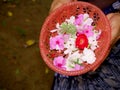 Woman hand multicolored flower basket natural beautiful object