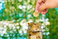 Woman hand put gold coin money in the glass jar on table in garden with green background, for saving banking finance concept. Royalty Free Stock Photo