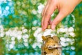 Woman hand put gold coin money in the glass jar on table in garden with green background, for saving banking finance concept. Royalty Free Stock Photo