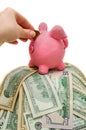 Woman hand putting coin in piggy bank with money