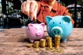 Woman hand putting gold coin into pink piggy bank with golden coins growth bar graph, step up growing business to success and Royalty Free Stock Photo