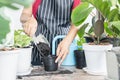 Woman hand putting soil in a pot preparing to plant , female planting plants, flower indoors , hobby and leisure concept Royalty Free Stock Photo