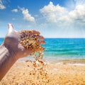 Woman hand scatter Seashells sand on the background of the sea,