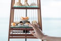 Woman hand with a set of luxury traditional afternoon tea with dessert served in bird cage