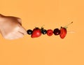 Woman hand with thin wooden stick skewer with berries cherry strawbery raspberry isolated on yellow. Advertisement concept Royalty Free Stock Photo