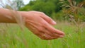 Woman hand touches grass on the field during sunny day, slow motion