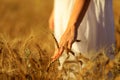 Woman hand touching a golden wheat ear in the wheat field - Image Royalty Free Stock Photo