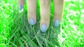 Woman Hand Touching Green Grass. Music video, slow motion