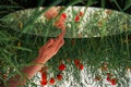 Woman hand touching reflection on mirror. Red blooming flowers in poppy field Royalty Free Stock Photo