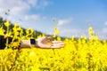 Woman hand touching yellow flowers Royalty Free Stock Photo