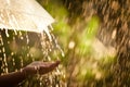 Woman hand with umbrella in the rain Royalty Free Stock Photo