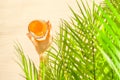 Woman hand under palm tree branches with glass of water with slice orange. Female relaxation on the sand of the beach at summer Royalty Free Stock Photo