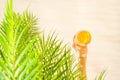 Woman hand under palm tree branches with glass of water with slice orange. Female relaxation on the sand of the beach at summer Royalty Free Stock Photo