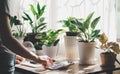 Woman hand using calculator, shop owner get an order from selling plants, tree online, hand using smart phone to make money Royalty Free Stock Photo