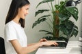 Woman hand using laptop on the table in house, mock up of blank screen. Royalty Free Stock Photo