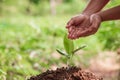 Woman hand watering plant in garden. Royalty Free Stock Photo