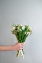 Woman hand with white tulip flowers bouquet Royalty Free Stock Photo