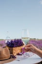 Woman hand with white wine glass on a lavander fields background in Provence, France. Lines of purple flowers bushes Royalty Free Stock Photo