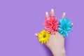 Woman hand and yellow, blue, pink flowers isolated on background. Summer and spring concept. Fashion design and manicure. Top view Royalty Free Stock Photo