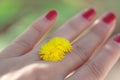 Woman hand with yellow flower