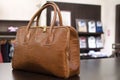 Woman handbag Royalty Free Stock Photo