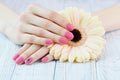 Woman hands with beautiful pink matted manicure Royalty Free Stock Photo