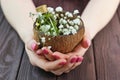 Woman hands with beautiful pink matted manicure Royalty Free Stock Photo